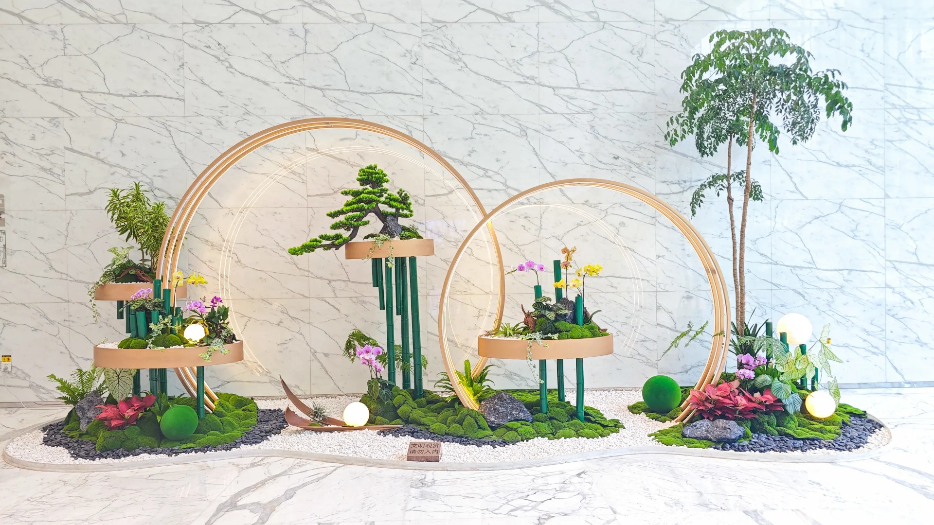 专业花木出租,宁波北仑花木出租的不二之选